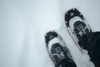 snowshoes