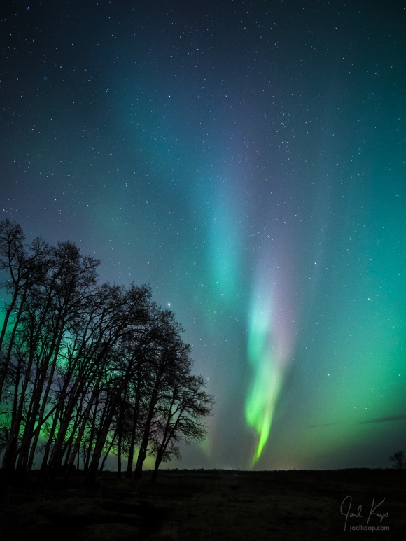northern lights aurora.jpg