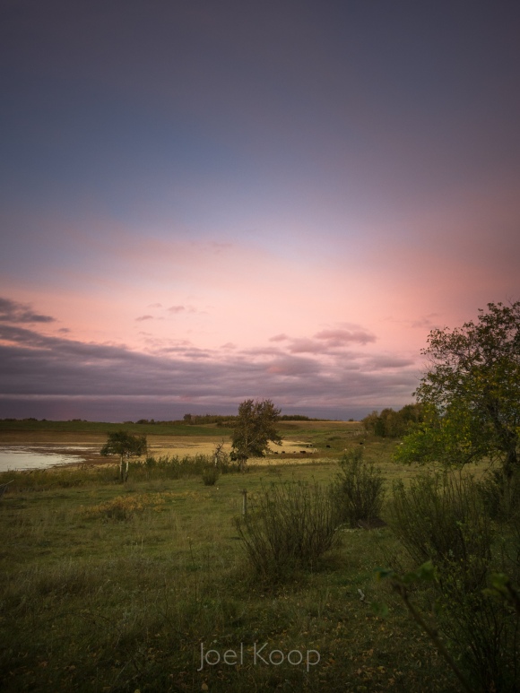 Pastoral Landscape