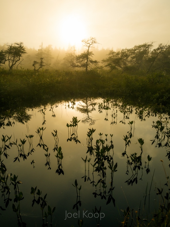 pool of water in evening fog