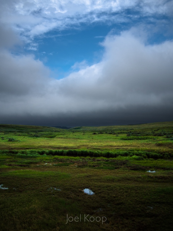summer-storm-grasslands-national-park